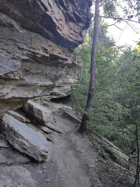 Some parts of the trail are pretty narrow.