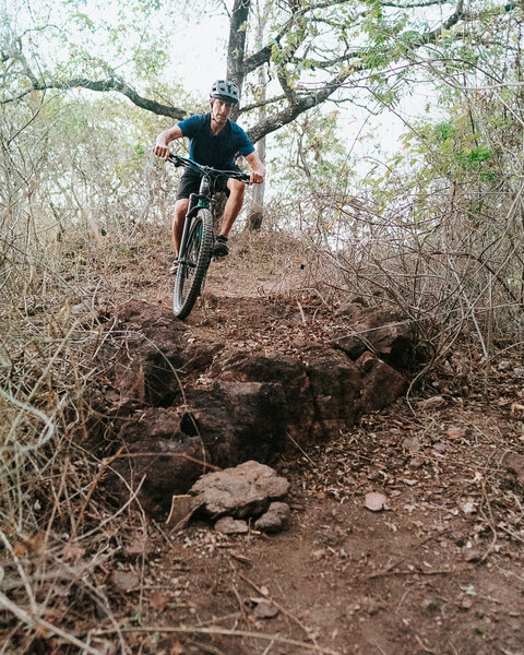 Drew dropping in to the rock drop on Jaguarundi Trail.