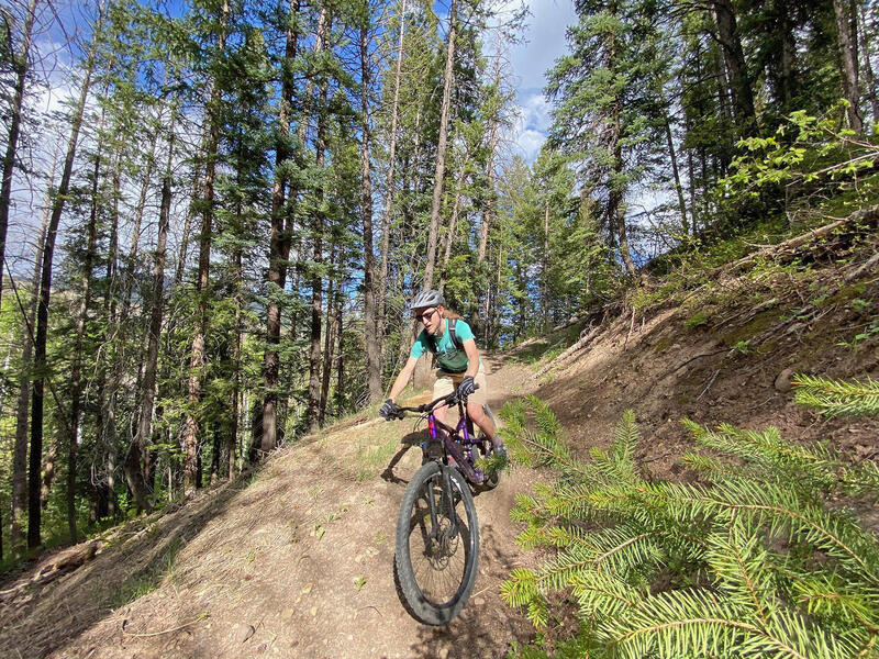 Descending Bear Ridge Trail.