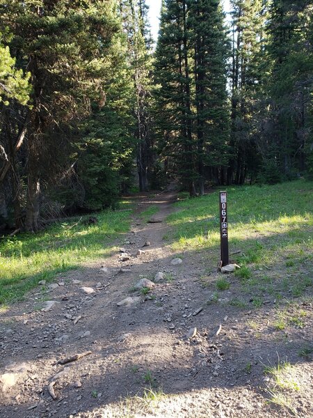 Start of FS 067 Hilton Creek Trail.