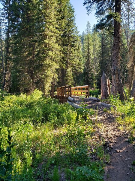 Foot bridge across Canyon Creek.