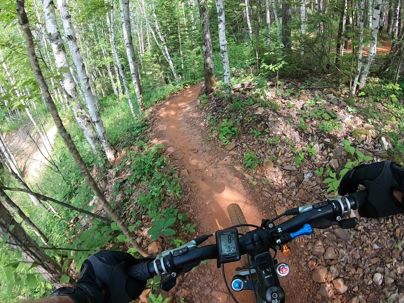 Weaving through the birches while climbing up Iron Chic.