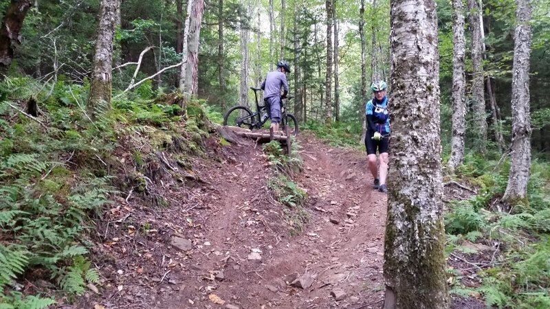 Upper Beaver Dam Trail.