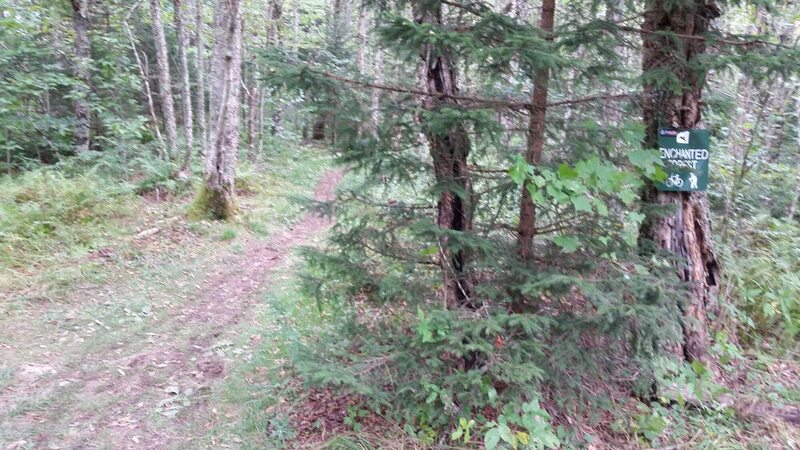 Entrance to Enchanted Forest.