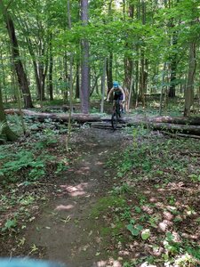 Log over off Yellow.