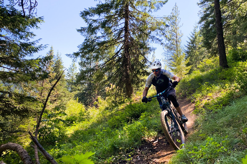 Summer can bring dusty conditions and sometimes thicker brush.