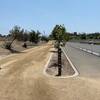 Eastvale Trail starting point in Eastvale Community Park.