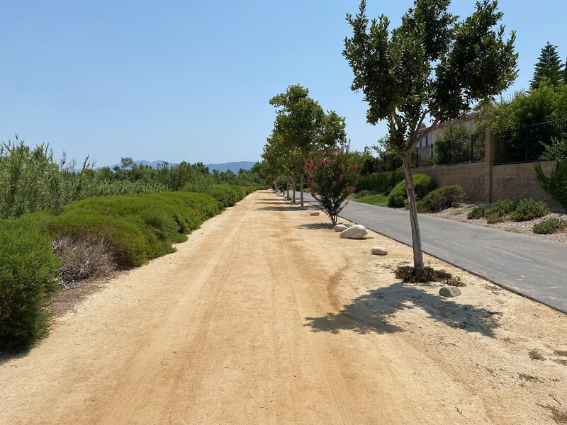 Slight incline when path runs parellel with Dearborn St.