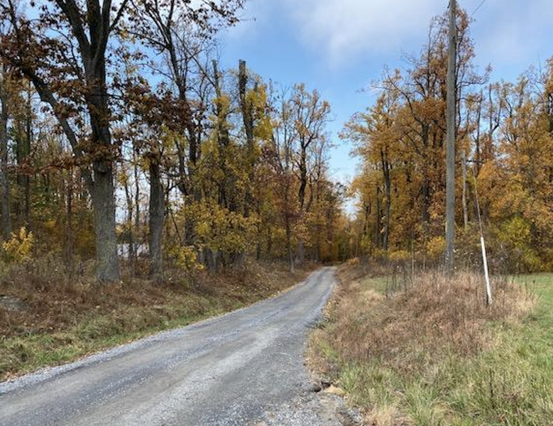 Road surface - Morgan's Mill.