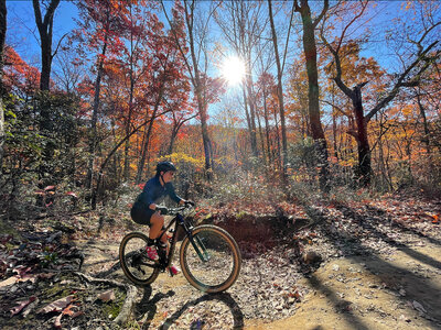 Unicoi mountain bike cheap trail