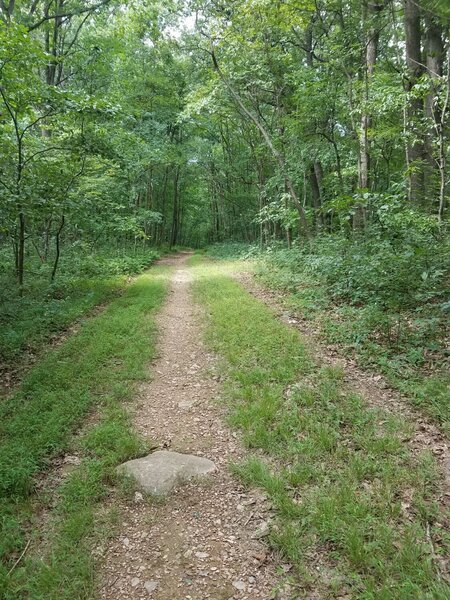 View from the top of a long, tough climb.