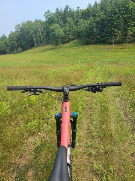 Looking at the two trails from the road entering the woods.  Start with panorama and return on this one.