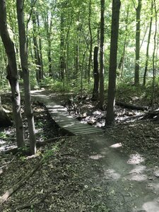 Oak openings bike online trail