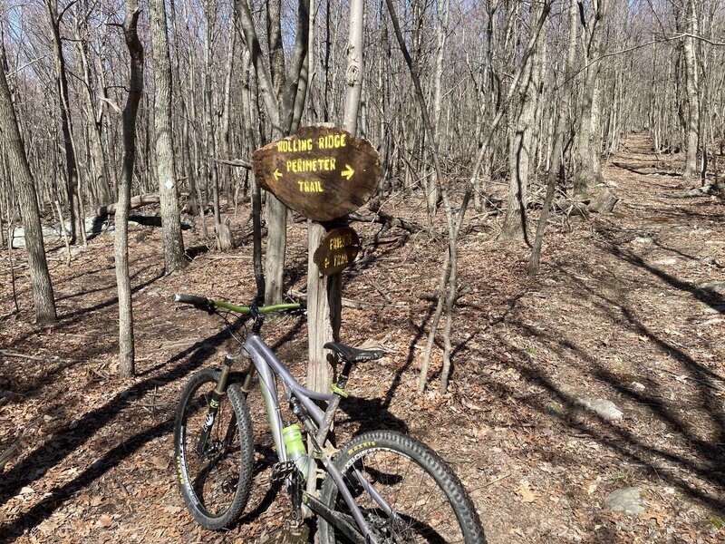 Follow the Perimeter Trail / White Diamond Cutouts.