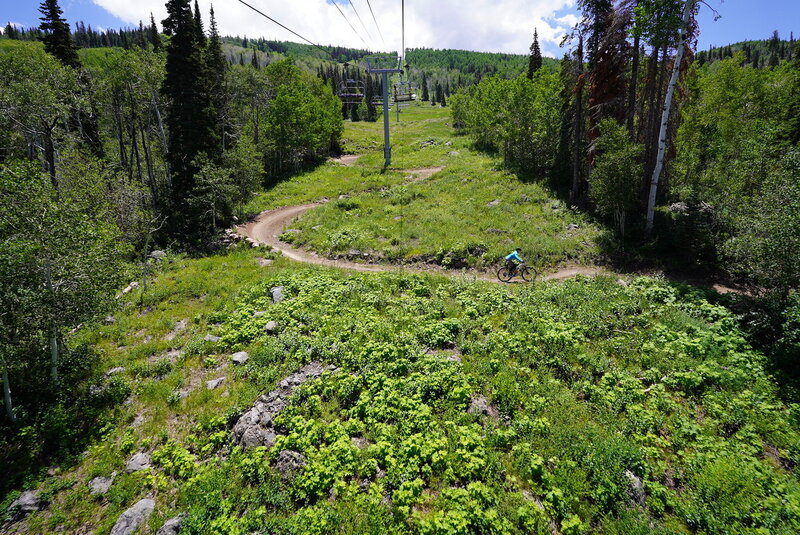 Mutton Buster trail at the Powderhorn Bike Park.