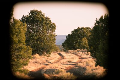 The road through Rowe Mesa.
