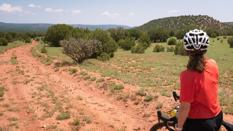 Looking across the high desert.