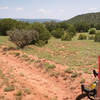 Looking across the high desert.