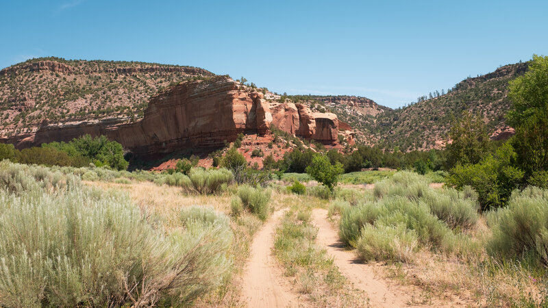 The sandstone walls of Mills Canyon