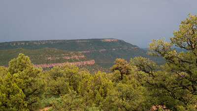 Looking towards Trementina NM.