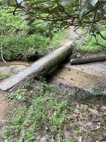 Log bridge off of the main trail.