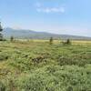 Panoramic View of Elk Meadow . . . Smokey, but Beautiful!