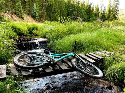 Just after leaving the dirt road and hitting singletrack up Keystone gulch