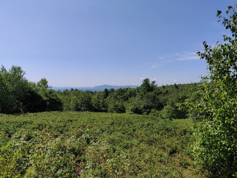 Looking at the Berkshires.