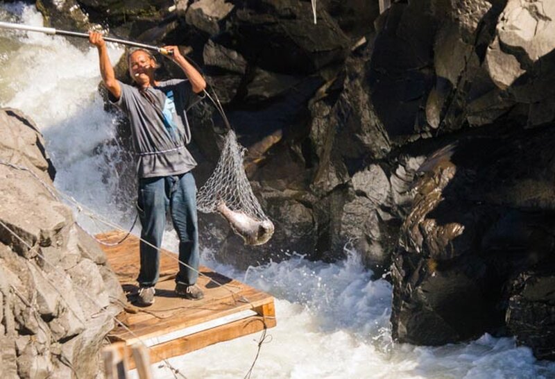 Native American Salmon Fishing at Klickitat Falls. Trail runs right by @ Fish Hatchery. Best time is Late Sept to October.