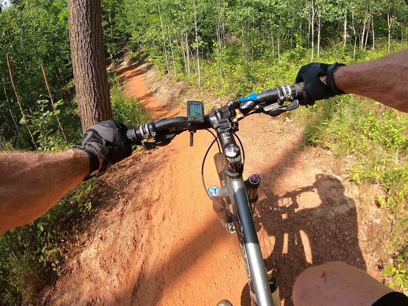 Passing a large pine on a fast downhill section of Veda's Free Press.