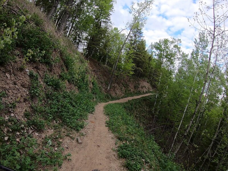 Traversing another side slope on Iron Powers Run.