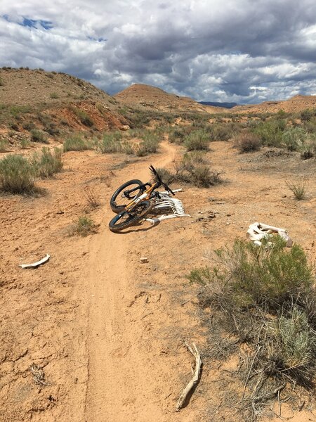 Nearing the junction of the two loops along the Can You Moon main loop