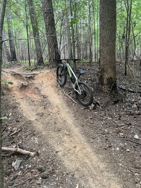 A steep jaunt after two quick berms.