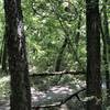 Trail art of a bike and spider web made of barbed wire.