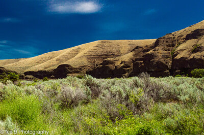 Looking NE from The Pinnacles Trail at the cliffs above the opposite shore of the John Day River.