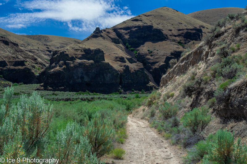 The Pinnacles trail, looking back across the River to the Lost Corral/Esau Canyon area.