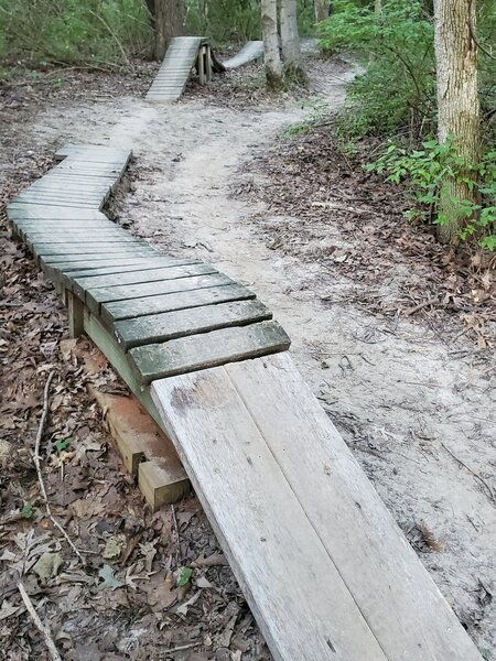 Comlara Trail #6. Lots of wooden features.