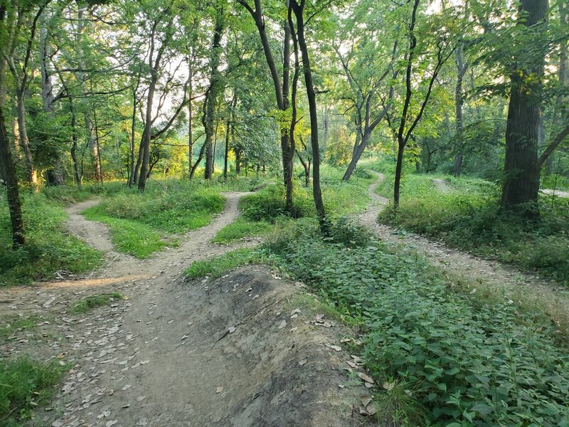 Comlara Bovine Trail. Lots of jumps and banked turns with a small pavilion and picnic table to rest between rides on the obstacles.