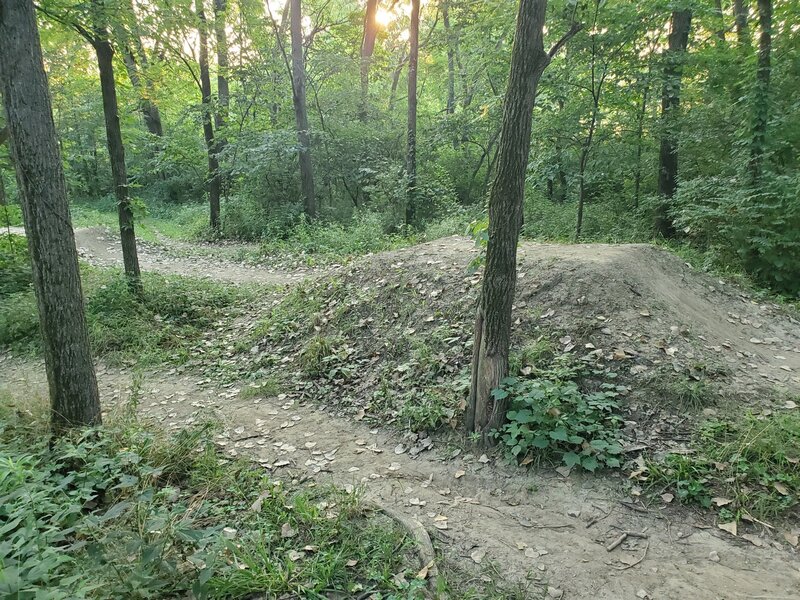 Comlara Bovine Trail. Lots of jumps and banked turns with a small pavilion and picnic table to rest between rides on the obstacles.