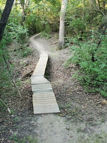 Comlara Coharie Pass. Good up and down singletrack with a few wood obstacles.