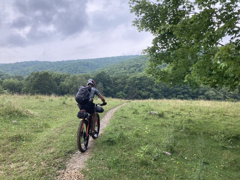 Meadow riding on Fairwood Valley Trail.