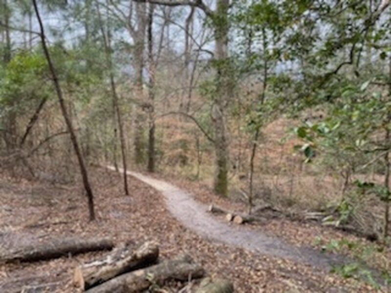 Big Branch Bike Park Trail.