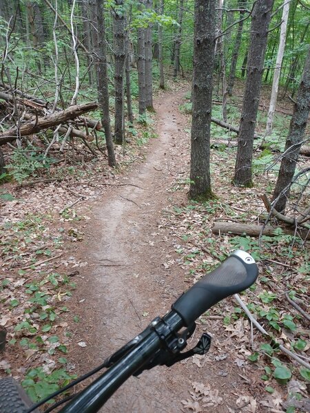 Along the trail.