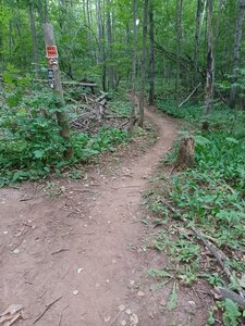 Epic Trail.
