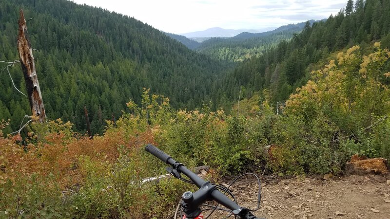 Nice lookout part way down trail 234.