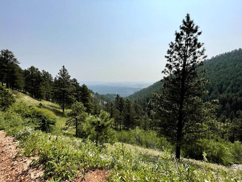 The vistas from the trail are actually quite amazing when you are not focused on the punishing climb!