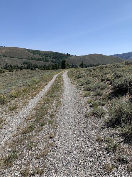 Harriman Trail in the open flats.