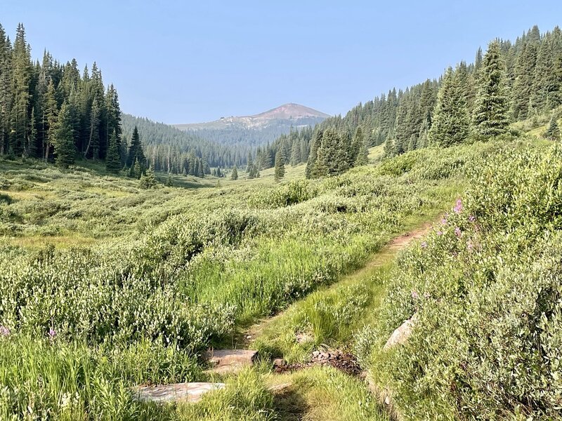 Climb towards Searle Pass.