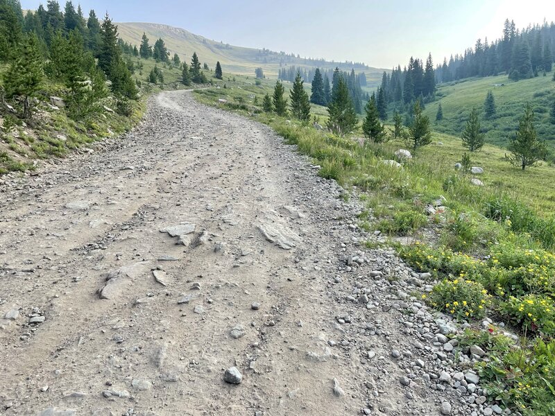 Resolution Road near Ptarmigan Pass.