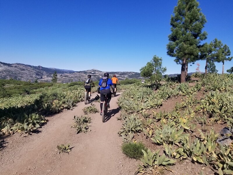 On Our way to Donner Lake Rim Trail.